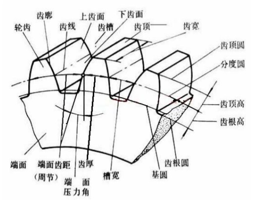 晟邦齿轮减速机齿轮各部名称