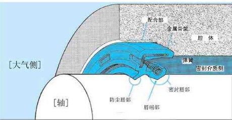 油封图